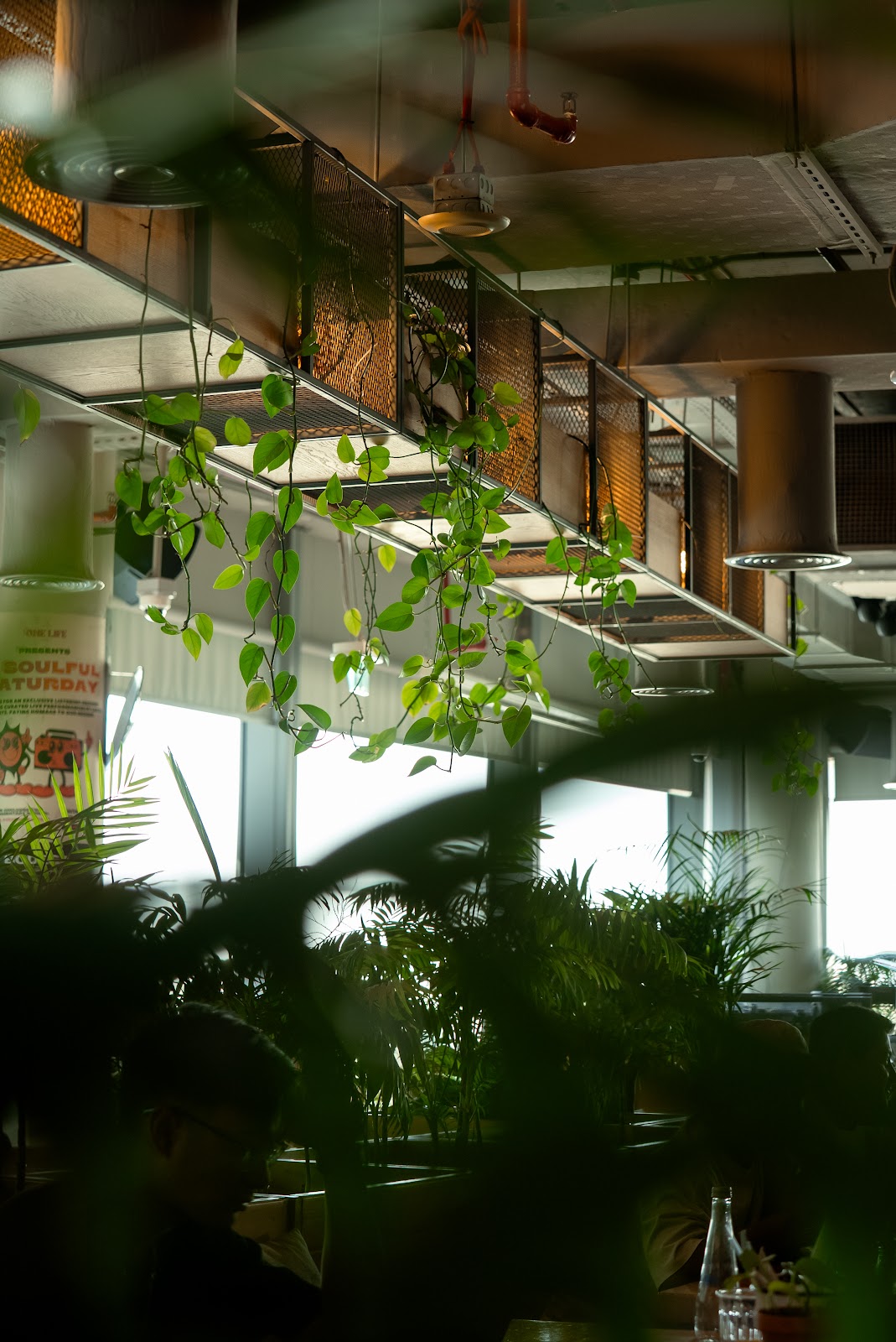 Lifestyle photography