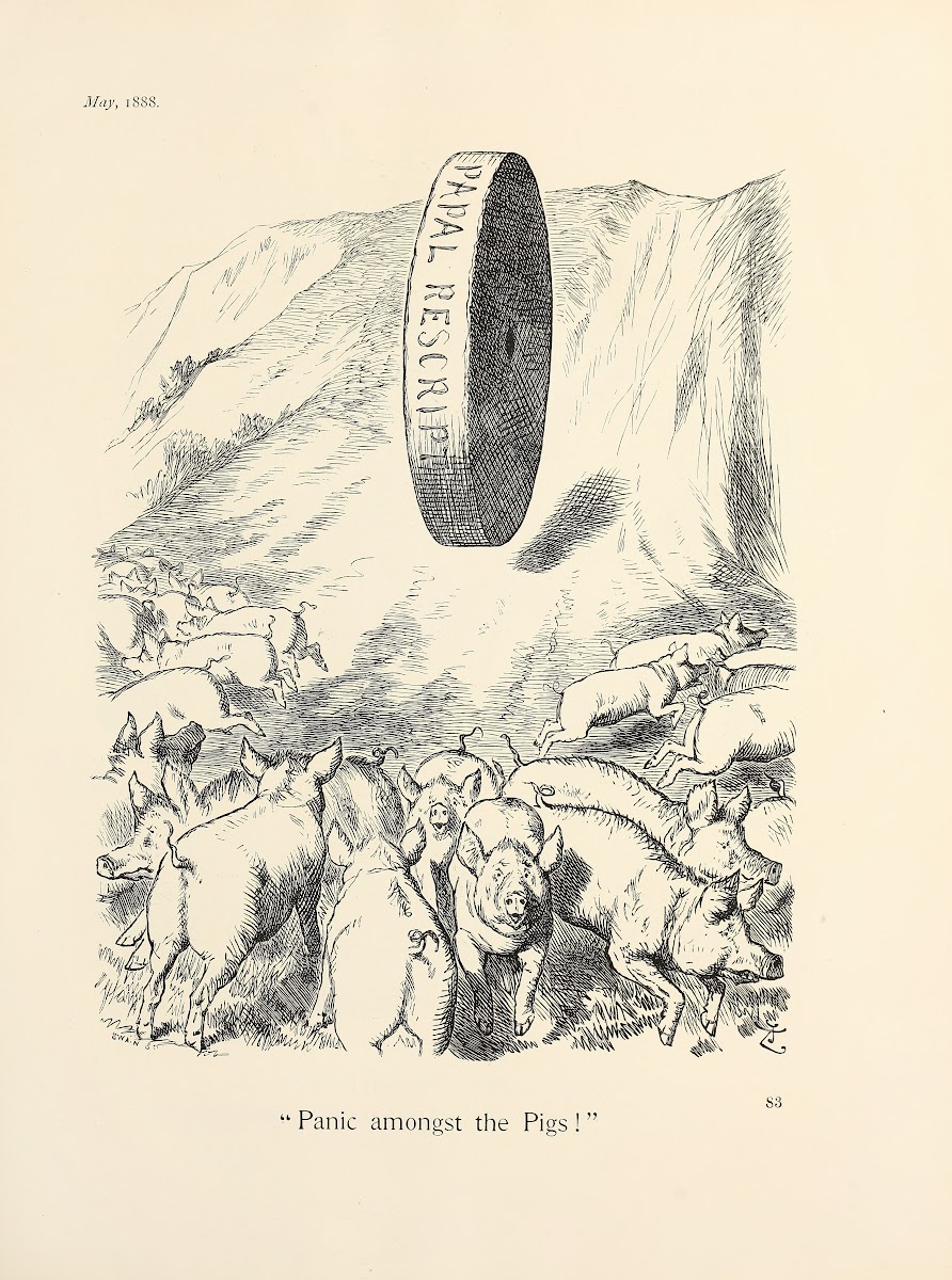 Panic amongst the Pigs 1888