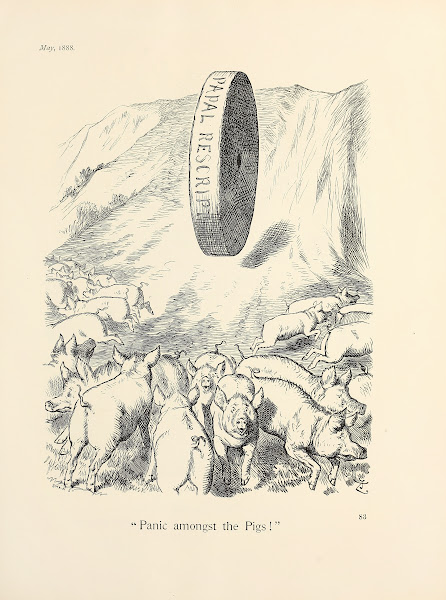Panic amongst the Pigs 1888