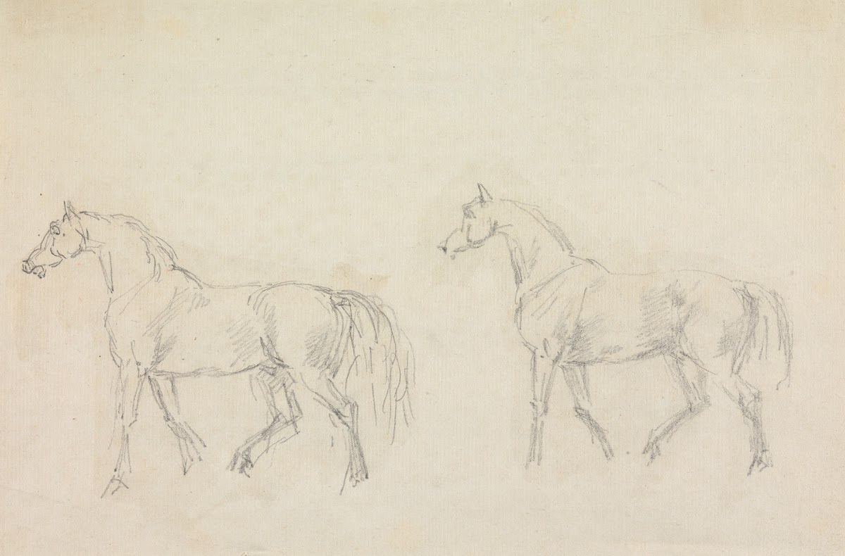 Two Horses Walking to Left