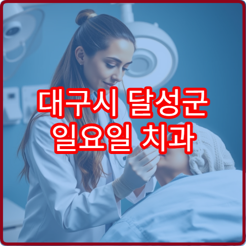 대구시 달성군 일요일 치과 진료 가능한 병원 최신 자료
