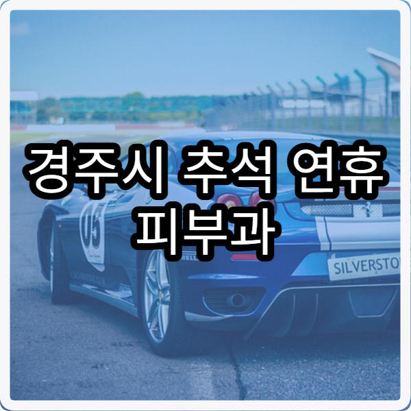 경주시 추석 연휴 피부과 진료 병원 확인과 이용 팁