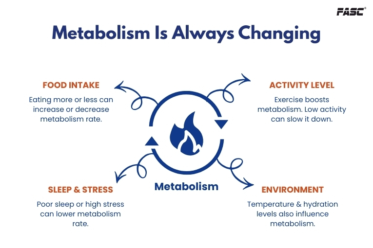 metabolism is always changing
