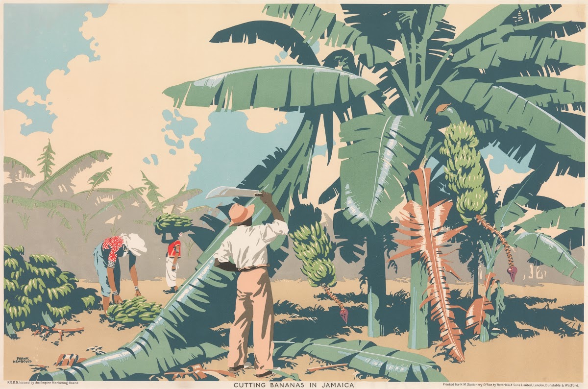 Cutting Bananas In Jamaica 1930