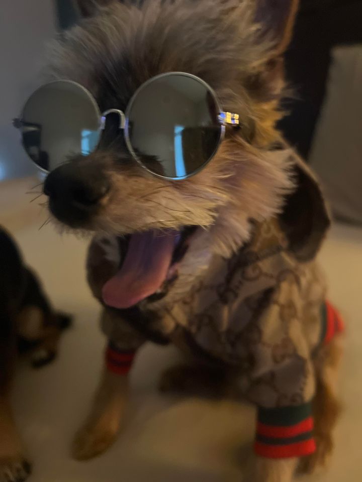 Customer photo · DearDoggo