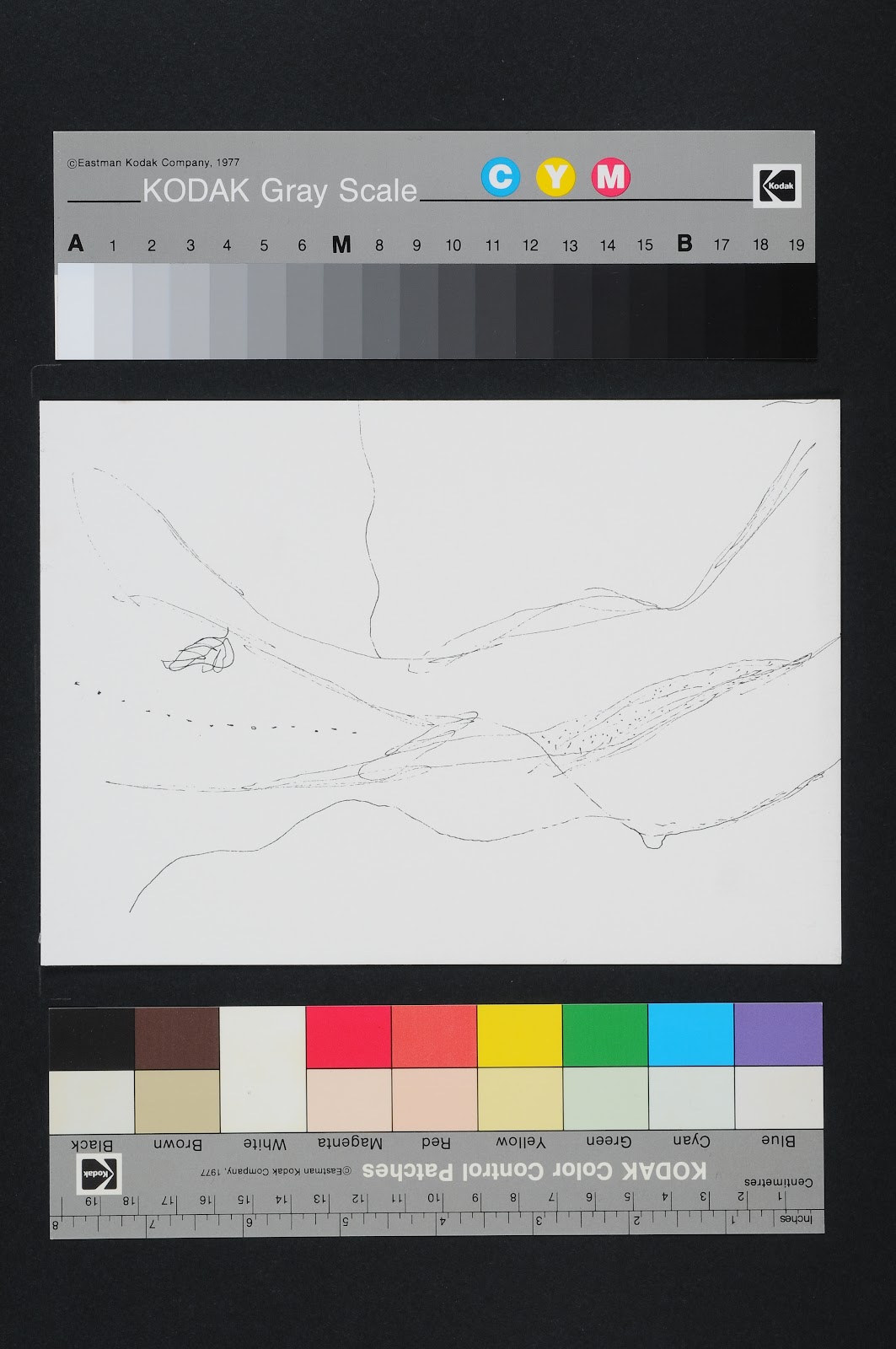 Drawn Poems