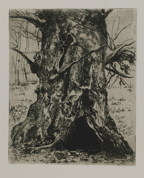 Tree Trunk ca1910