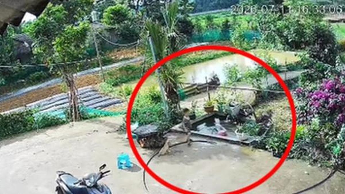 Bé trai 4 tuổi ở Tuyên Quang hô hoán, cứu em gái 2 tuổi thoát khỏi đuối nước - Báo VietnamNet