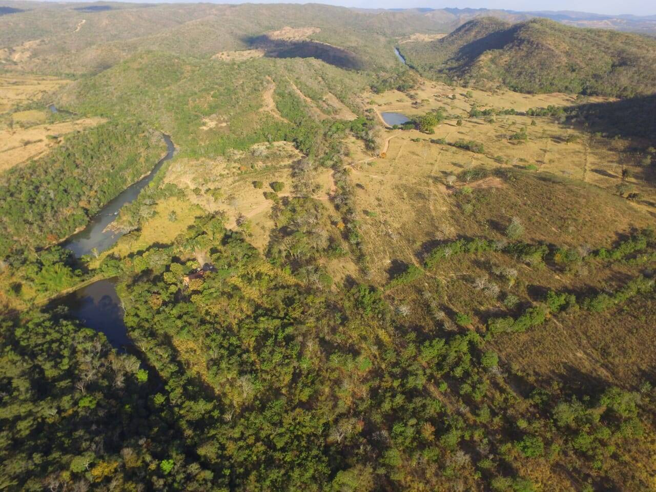 Fazenda em Santa Cruz de Goiás-GO 2