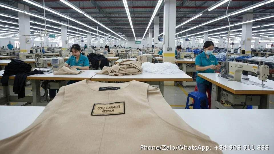 Cover Vest - Gold Garment Vietnam