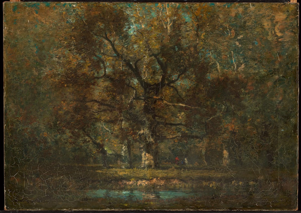 Oak Tree 1895