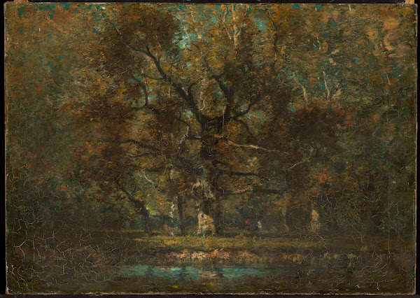 Oak Tree 1895