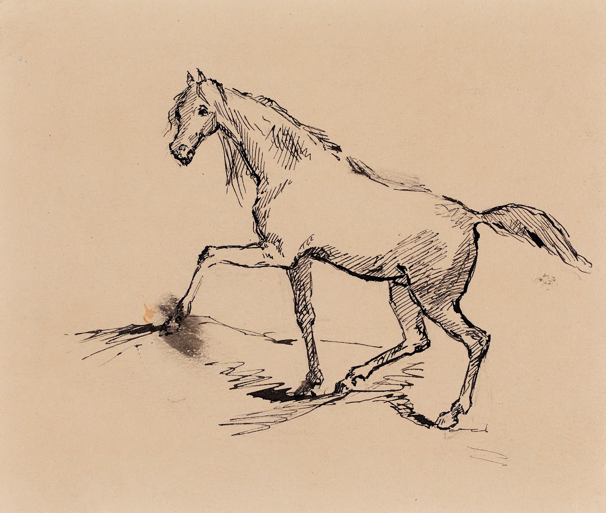 Hevonen luonnos 1877   1880