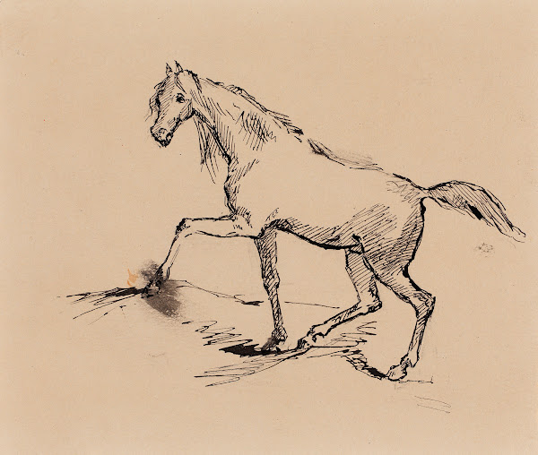 Hevonen luonnos 1877   1880