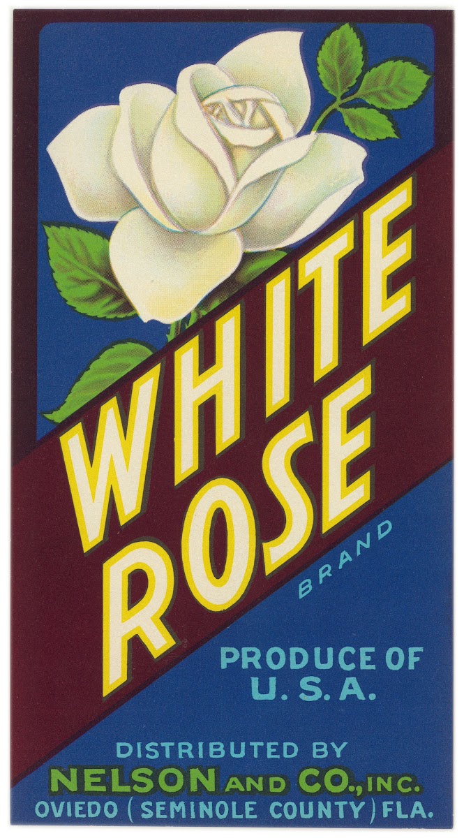 White Rose Brand Citrus Label 1930s