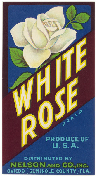 White Rose Brand Citrus Label 1930s