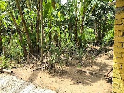 Tanah Jalan Sungai Lui, Batu 23 Hulu Langat — foto 7/10