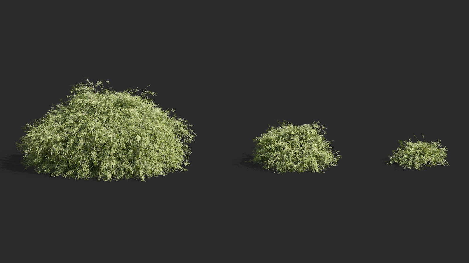 Maxtree - Plant Models Vol.63