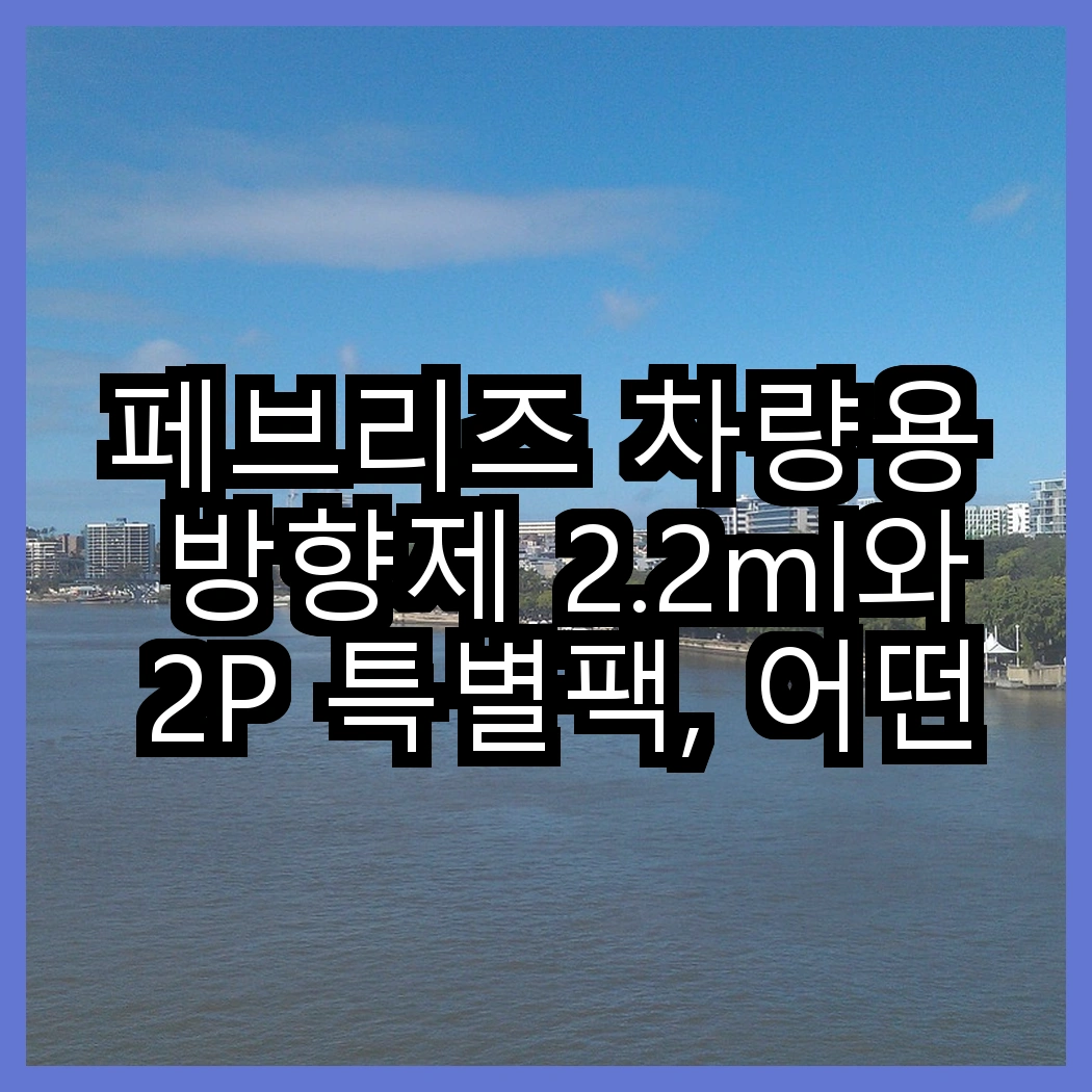 페브리즈 차량용 방향제 2.2ml와 2P 특별팩, 어떤 선택이 더 매력적일까? 썸네일