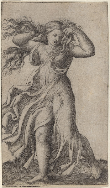 Woman Pulling Her Hair 1520 1525
