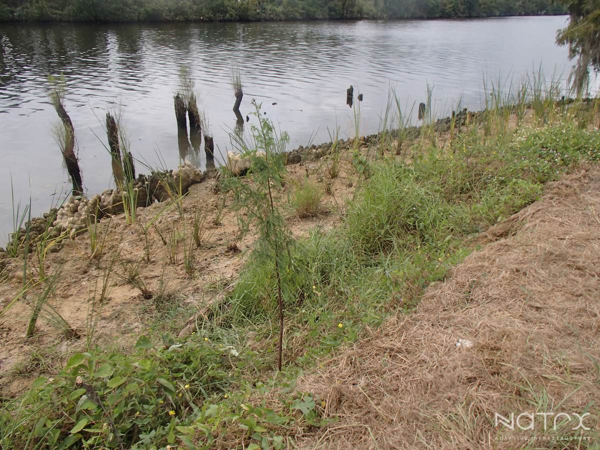 From R Smith September 2025