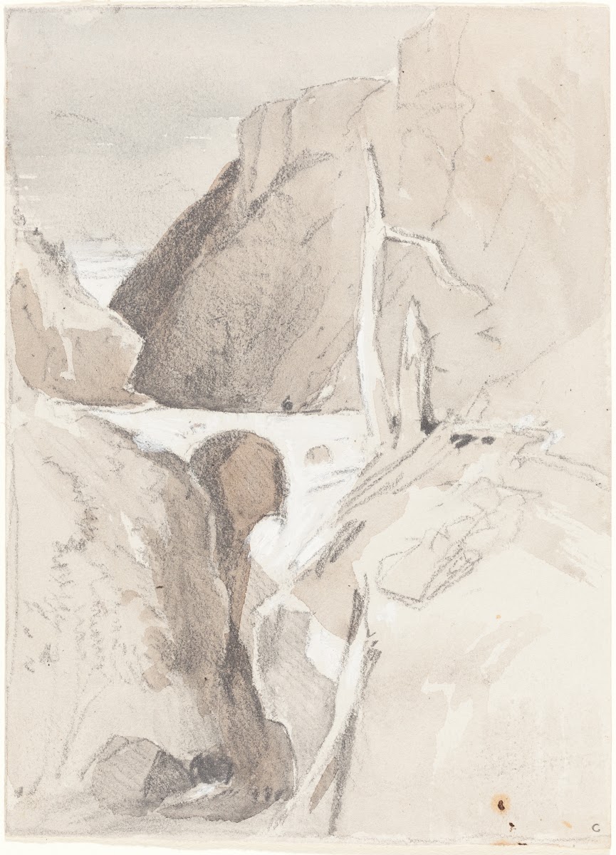 Gorge with Tree Stumps