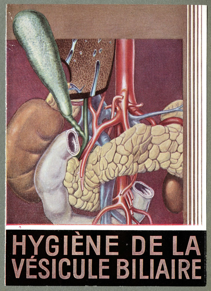 Hygiène de la vésicule biliaire 1910 1950
