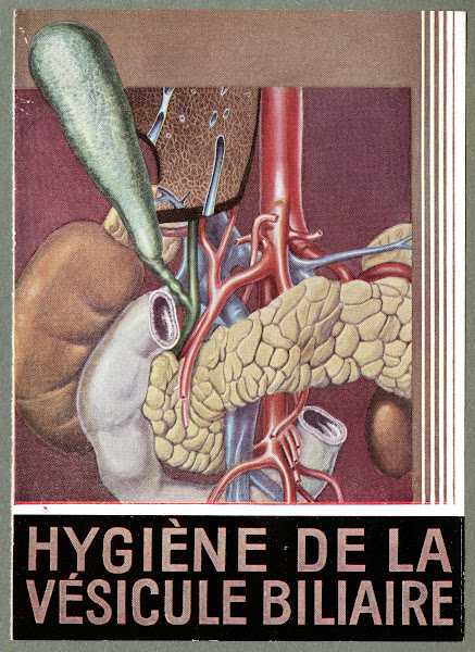 Hygiène de la vésicule biliaire 1910 1950