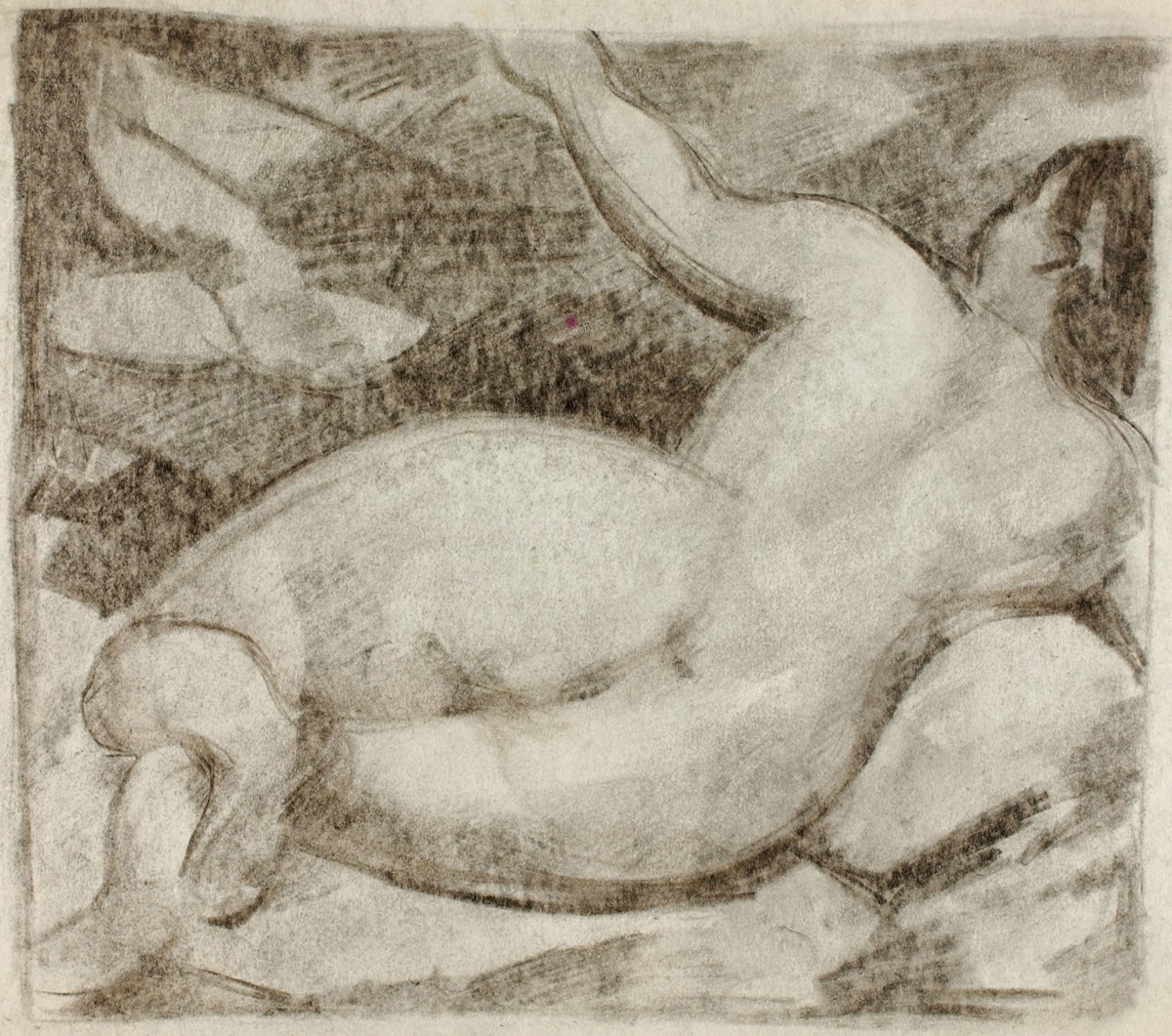 Female Nude Reclining