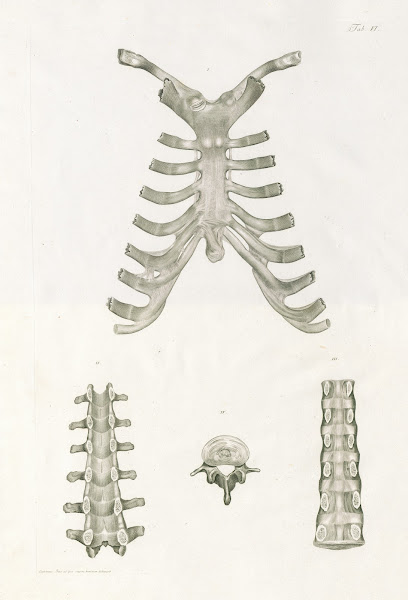 The Macabre & Mystical