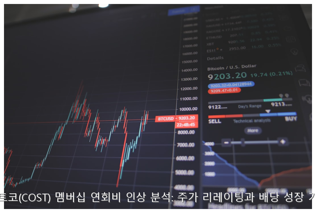 코스트코(COST) 멤버십 연회비 인상 분석: 주가 리레이팅과 배당 성장 가이드 핵심 안내 및 분석 인포그래픽 (5)