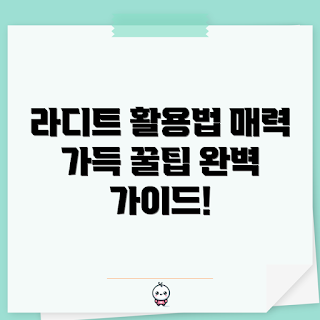 라디트 활용법, 라디트 장점, 라디트 사용 후기, 라디트 팁, 라디트 효과