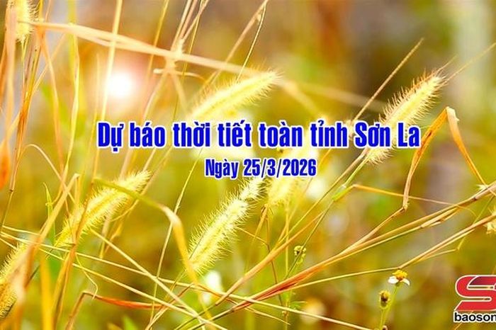 Dự báo thời tiết toàn tỉnh Sơn La ngày 25/03/2026 - Báo Sơn La
