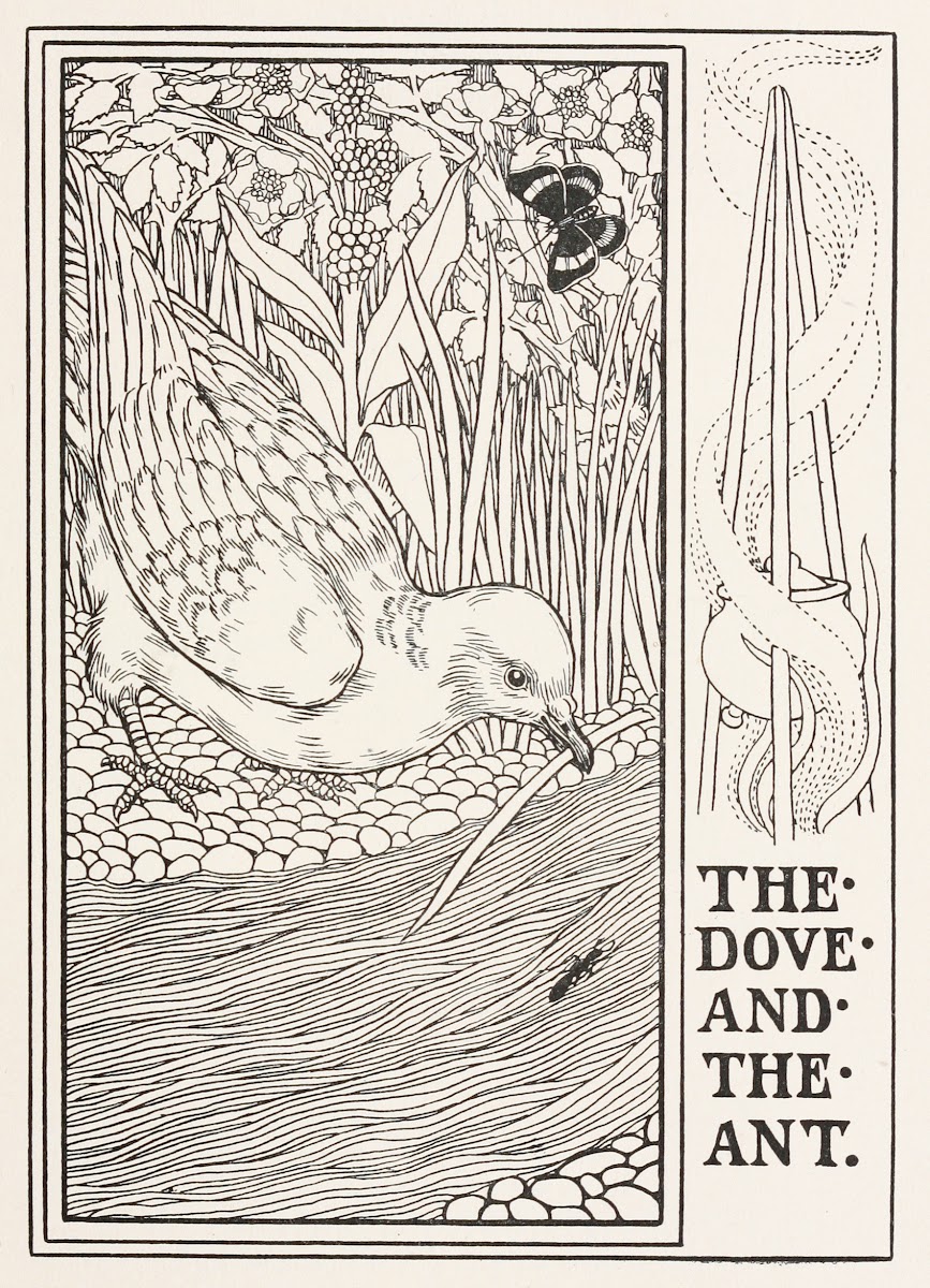 The Dove and the Ant 1900