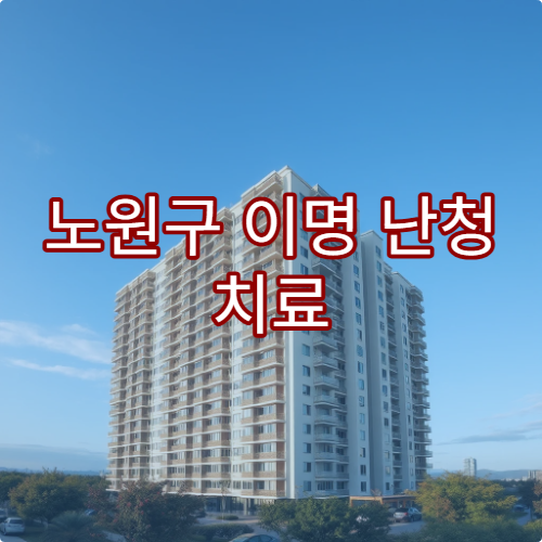 노원구 이명 난청 치료 이비인후과 병원 추천 리스트