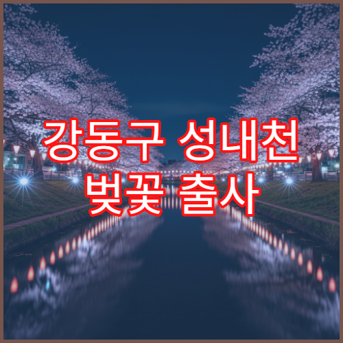 강동구 성내천 벚꽃 출사 황금 시간 사진작가 추천 배경 스팟