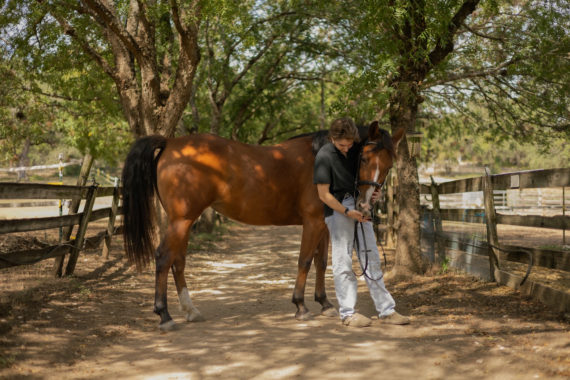 Equestrian