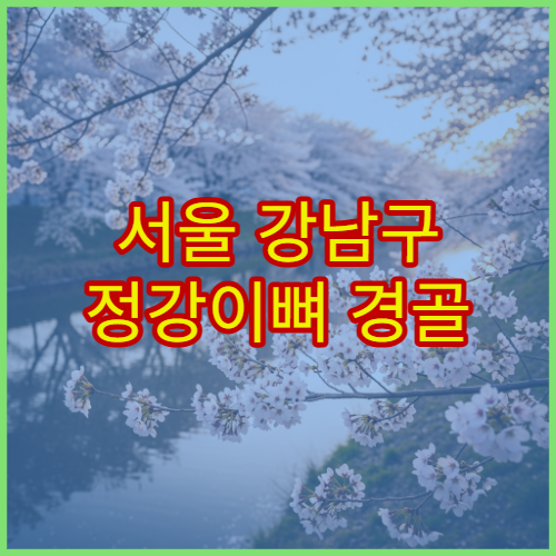 서울 강남구 정강이뼈 경골 골절 이상 증상 치료 전문 정형외과