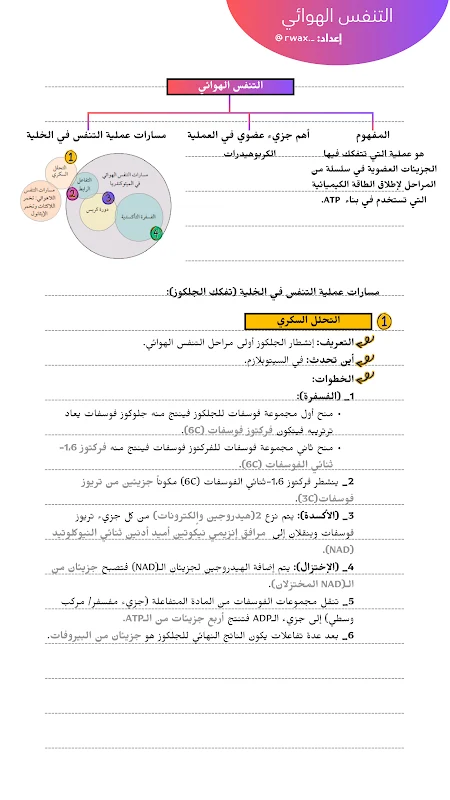 صورة الغلاف