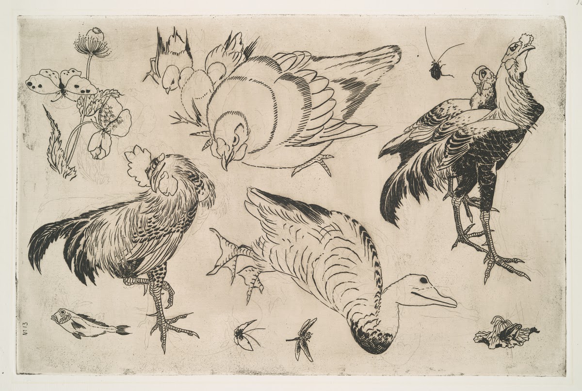 Coqs canards etc 1866