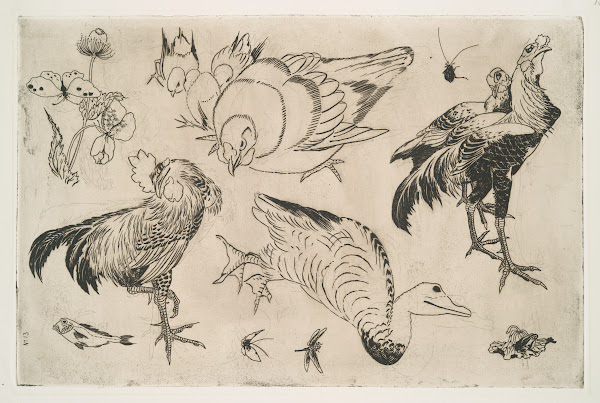 Coqs canards etc 1866