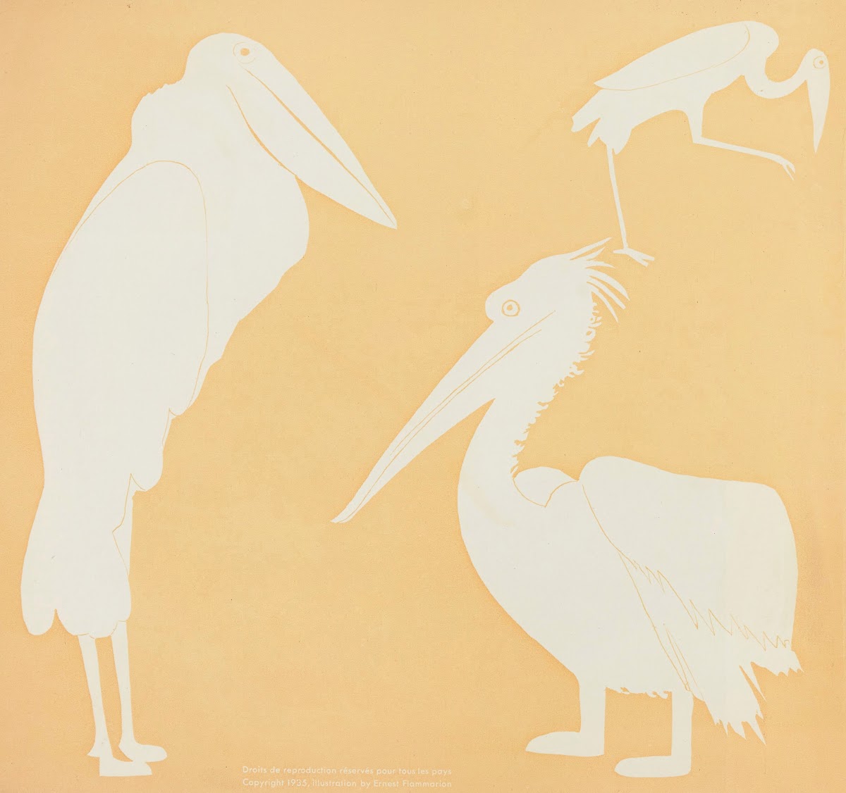 Nouvelles images à colorier Des Oiseaux Pl03 1935