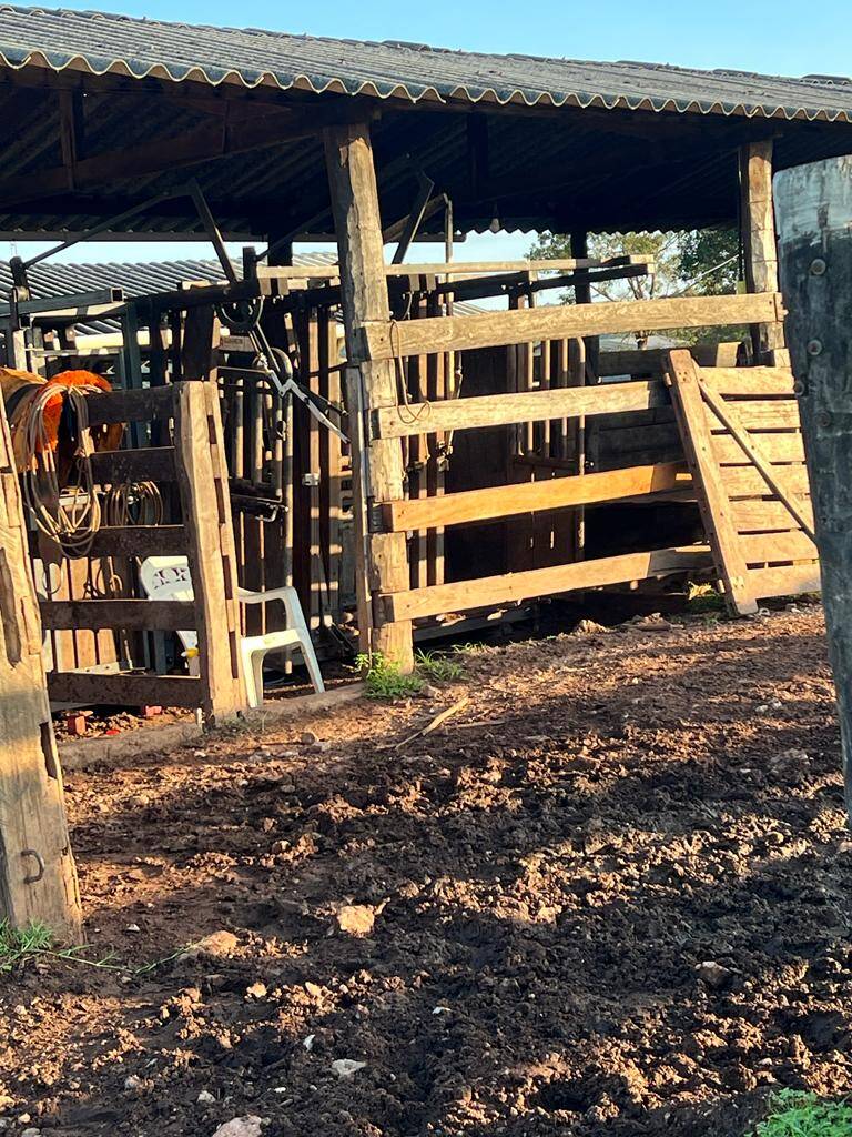 Fazenda em São Valério - TO 4
