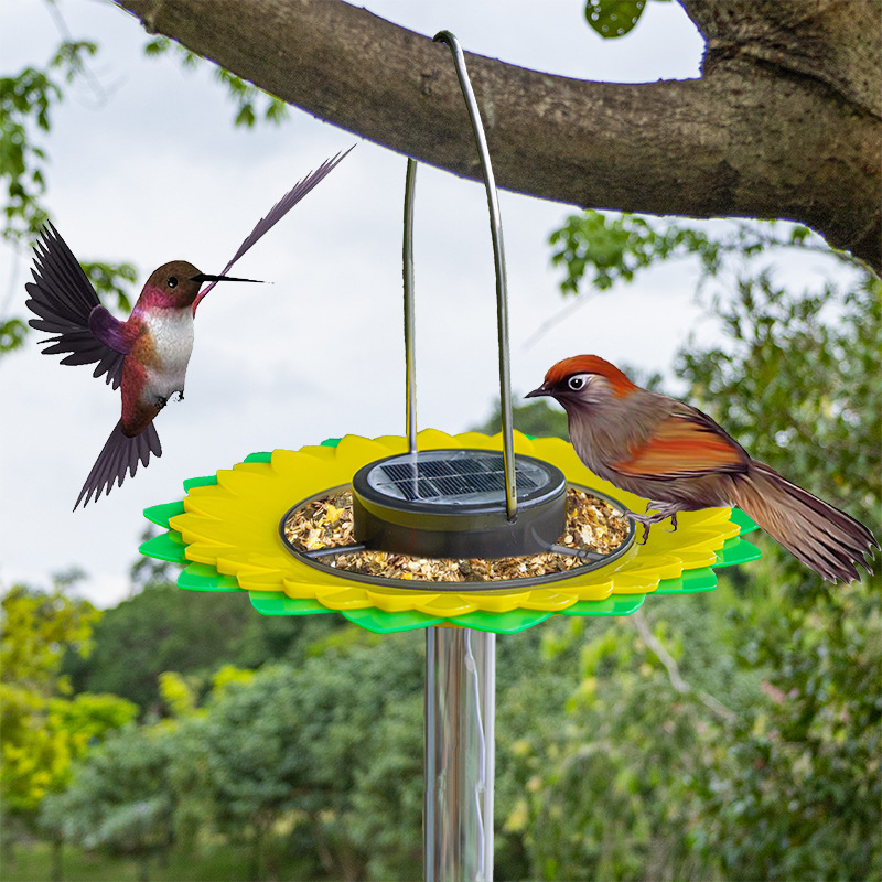 Solar Bird Feeding Station with LED Light Sensor