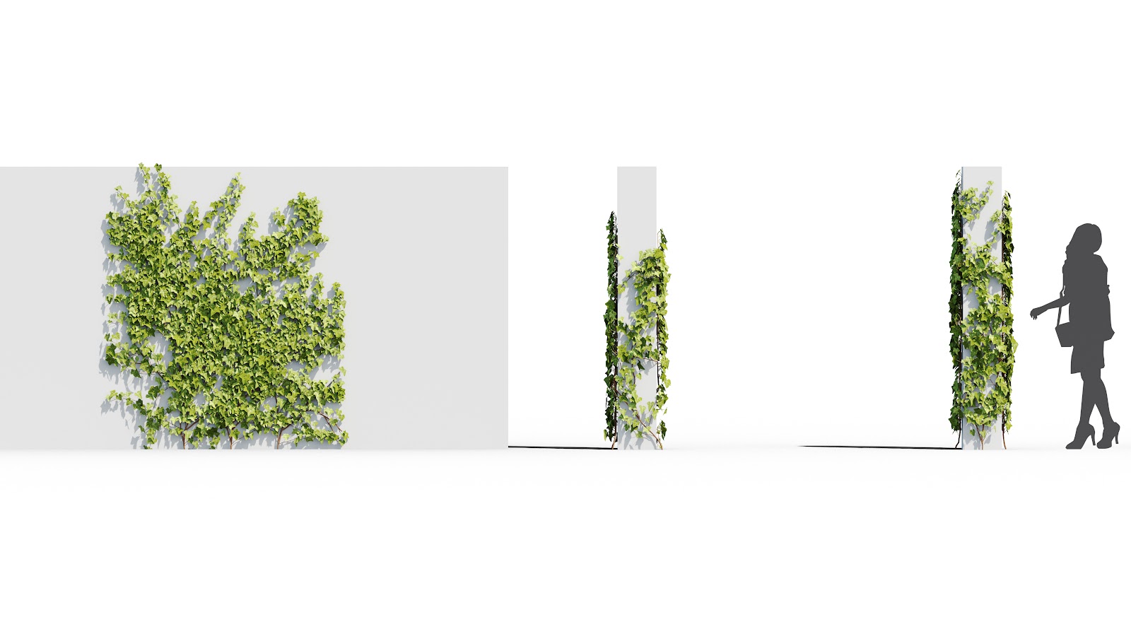 Maxtree - Plant Models Vol.37