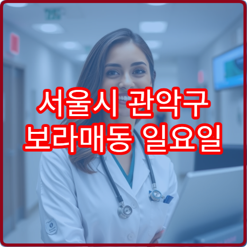 서울시 관악구 보라매동 일요일 안과 문 여는 병원