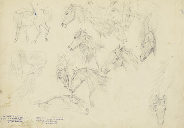 Study sheet Horses heads