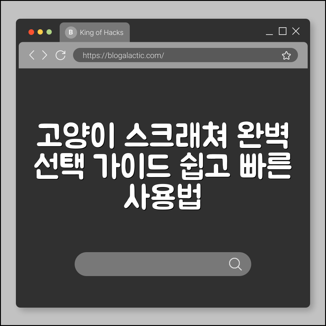 고양이 스크래쳐 완벽 가이드: 선택과 사용법