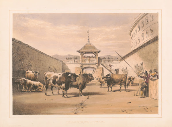 The bulls in the corral of the plaza 1860 1870