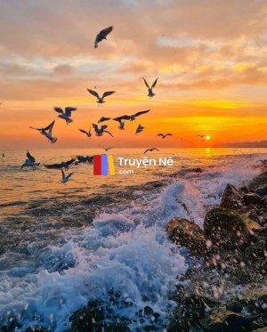 Trò Chơi Của Đứa Trẻ